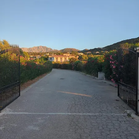 Les Maristella, Ninu *